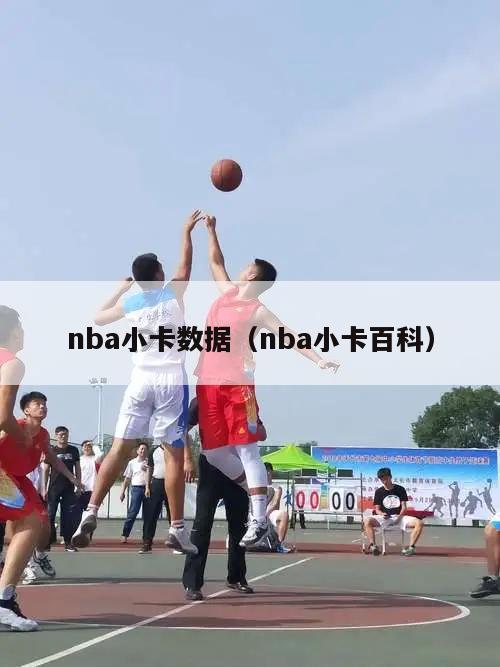 nba小卡数据（nba小卡百科）