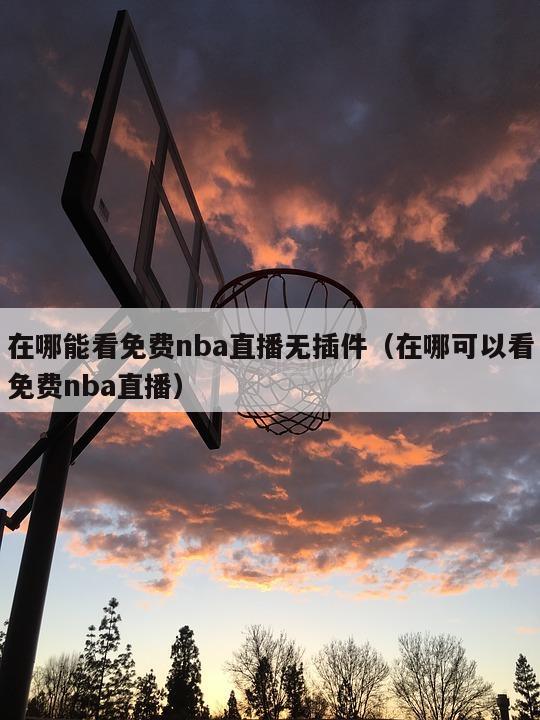 在哪能看免费nba直播无插件（在哪可以看免费nba直播）