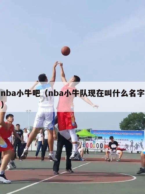 nba小牛吧（nba小牛队现在叫什么名字）