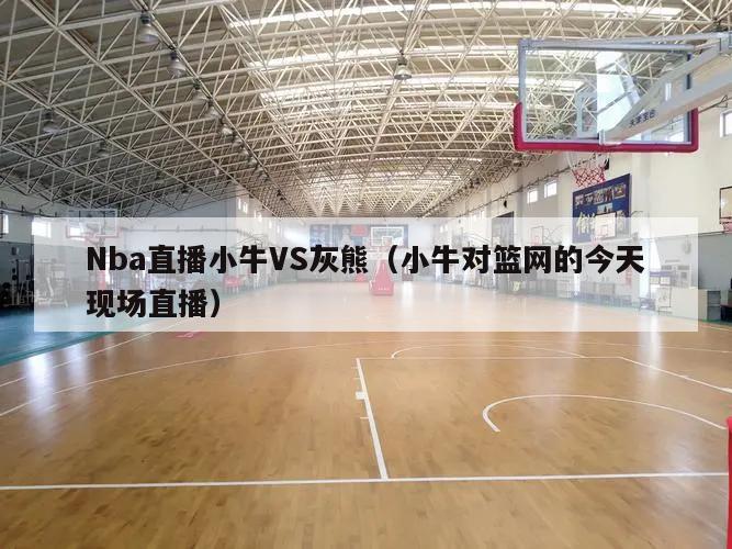 Nba直播小牛VS灰熊（小牛对篮网的今天现场直播）