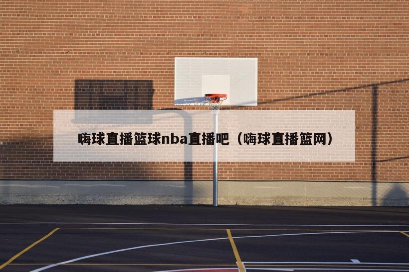 嗨球直播篮球nba直播吧（嗨球直播篮网）