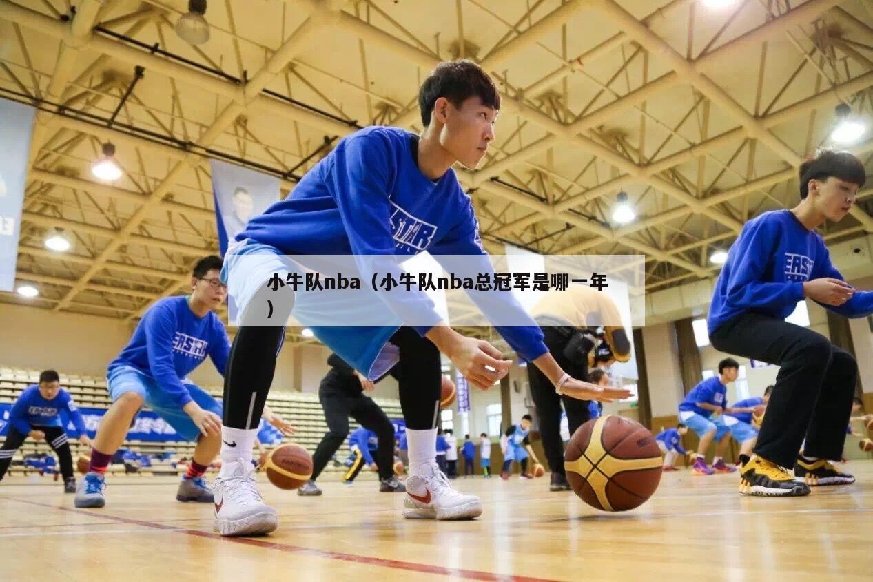 小牛队nba（小牛队nba总冠军是哪一年）