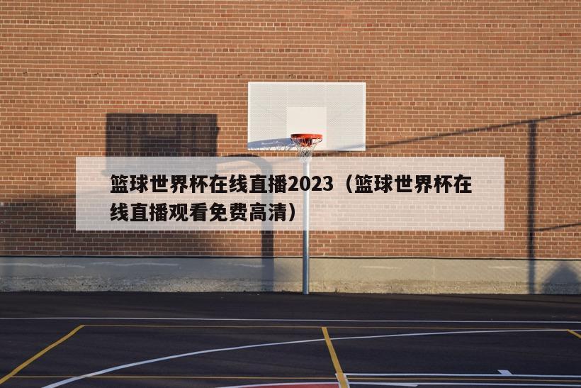 篮球世界杯在线直播2023（篮球世界杯在线直播观看免费高清）